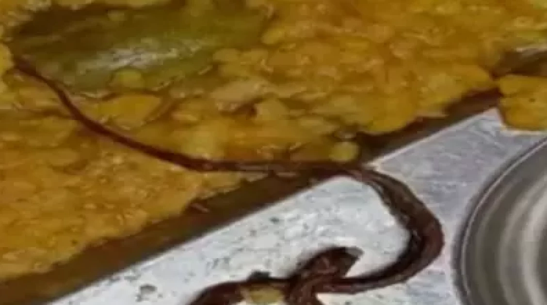 India probes snake in school lunch after 100 children fall sick