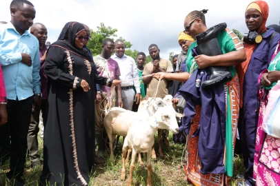 Achani champions Women’s economic empowerment with goat distribution in Matuga
