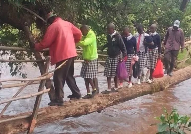 Tragedy in waiting: Learners risk lives crossing swollen river using slippery log in Bomet