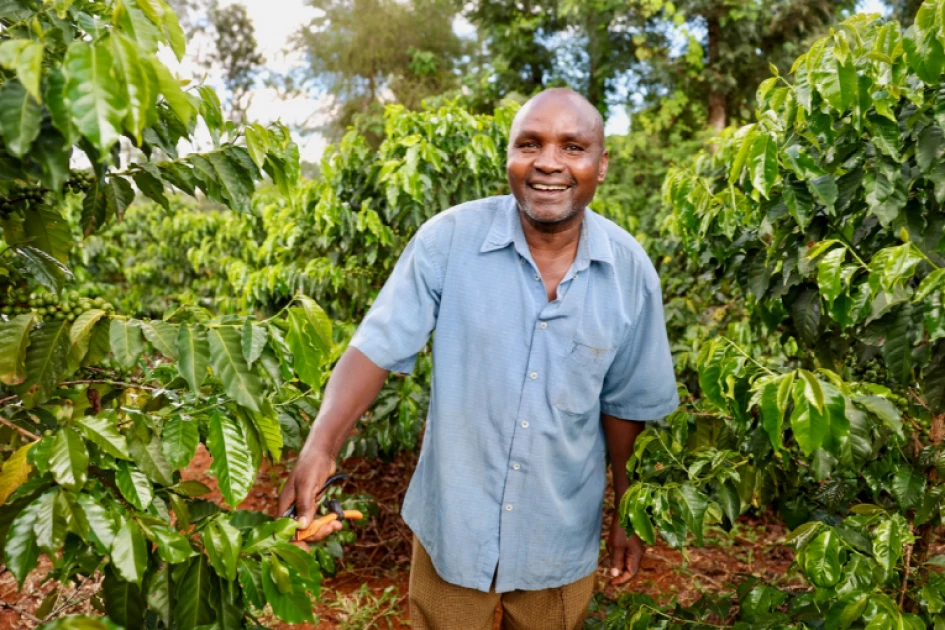 Coffee Millionaires: Coffee farmers celebrate a return to profitability