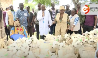 Boost for Yatta farmers as Wavinya Ndeti rolls out major farm input drive