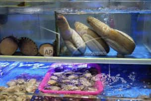 How a Chinese delicacy got caught in the crossfire of Trump’s trade war
