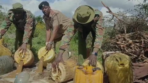 More than 1,600 litres of illicit alcohol destroyed in Saku, Marsabit County