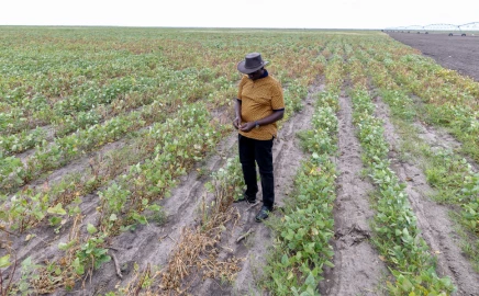 President Ruto says Ksh.519M Galana-Kulalu project completed, set to tackle hunger