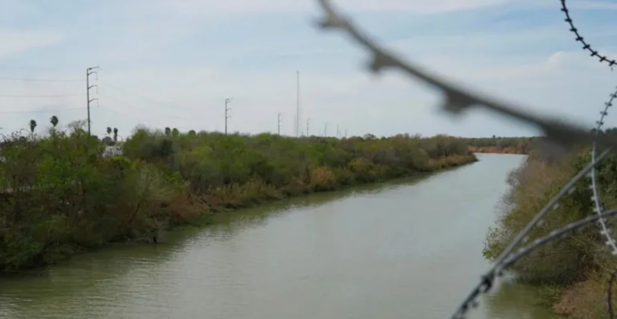 Five Mexican musicians murdered by suspected cartel members