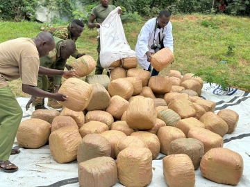 Bhang worth Ksh.10.5M siezed near the Kenya-Ethiopia border