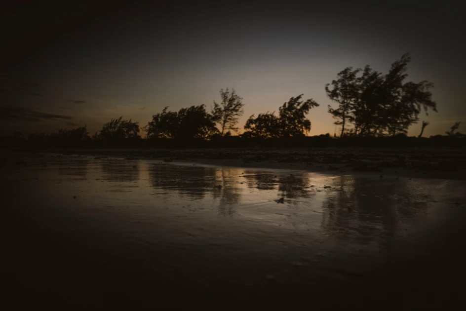 Kenyan NGO saves turtles from nets, plastic and rising tides