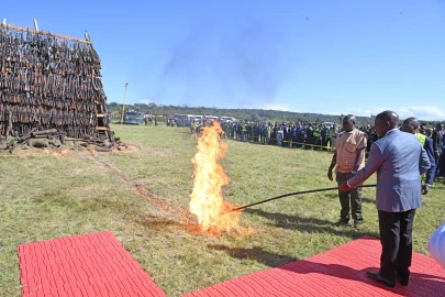 Ruto destroys over 6,000 illegal firearms, assures Kenyans of protection from rogue police