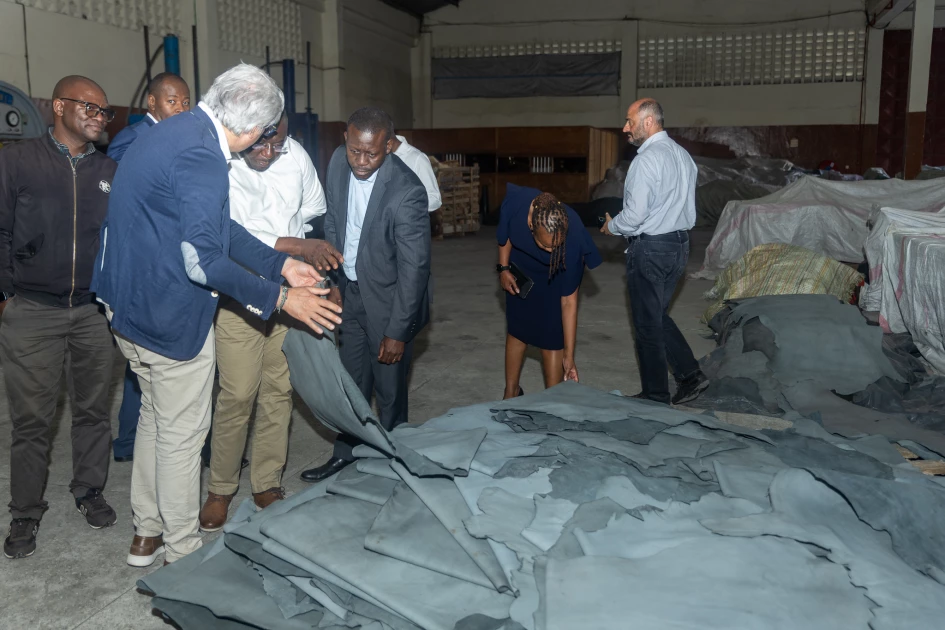 Italy commits to reviving Kenya's leather industry