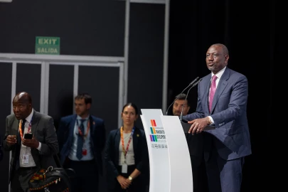 'Kenya is a work in progress', Ruto tells Diaspora community in UK