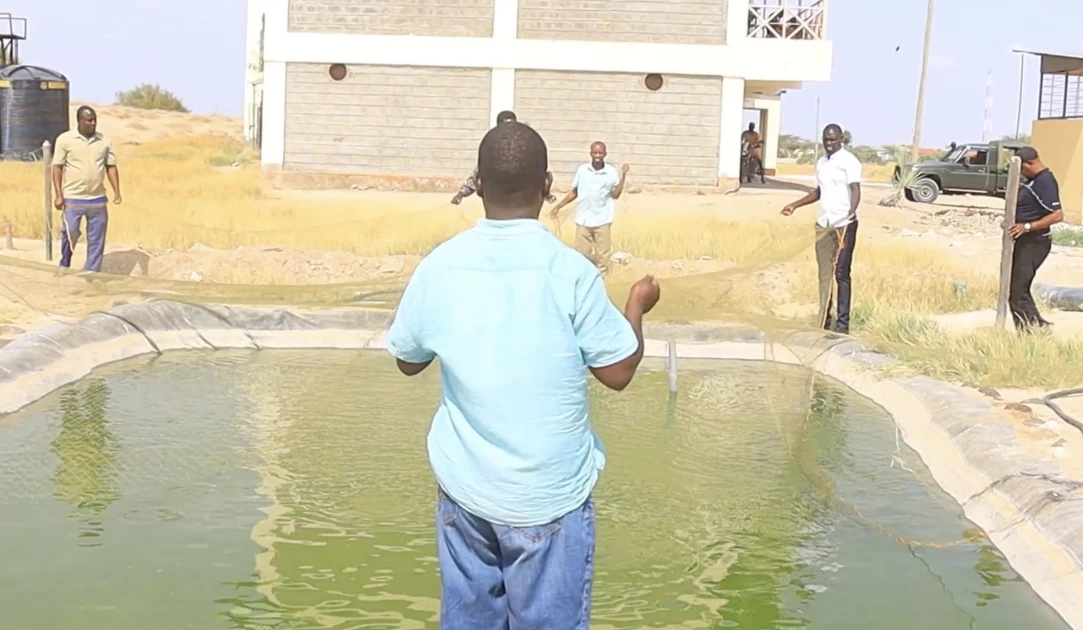 Marsabit: Pastoralists look to fish farming to stop over-reliance on relief food