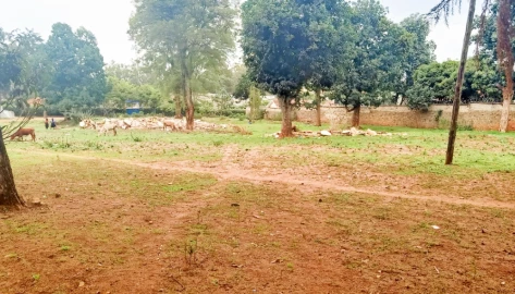 EACC recovers Gov't land worth Ksh.65 million in Eldoret