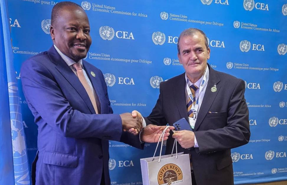 Kenya eyes Algeria as key market for milk powder, tea, coffee Kenya eyes Algeria as key market for milk powder, tea, coffee