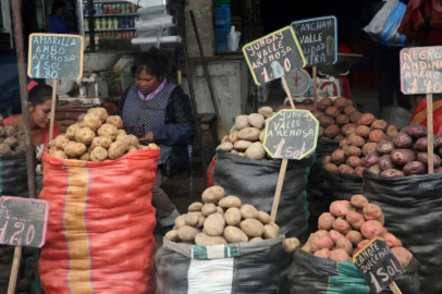 Evolutionary origins of the potato revealed - and a tomato was involved