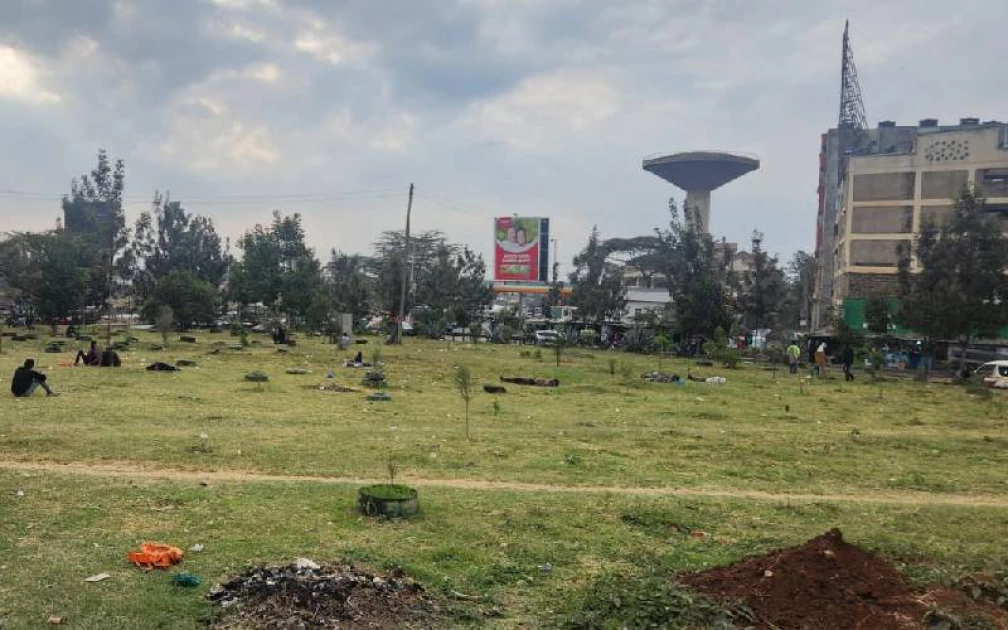 Donholm: Nairobians on a tight budget troop to new picnic spot 