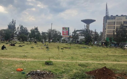 Donholm: Nairobians on a tight budget troop to new picnic spot 