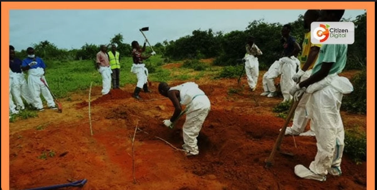 Four more bodies exhumed in Kwa Binzaro amid ongoing investigations Four more bodies exhumed in Kwa Binzaro amid ongoing investigations