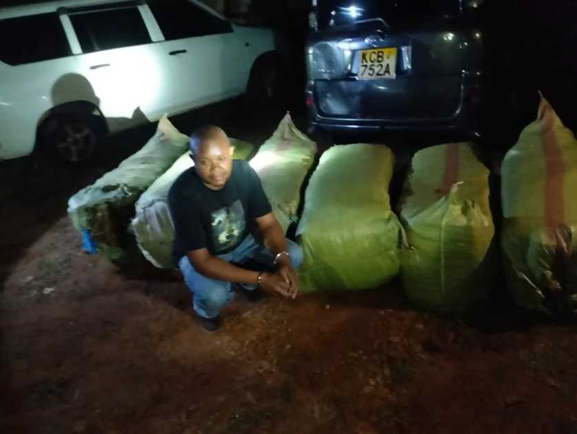 Suspected drug trafficker arrested ferrying bhang in Kisii Suspected drug trafficker arrested ferrying bhang in Kisii