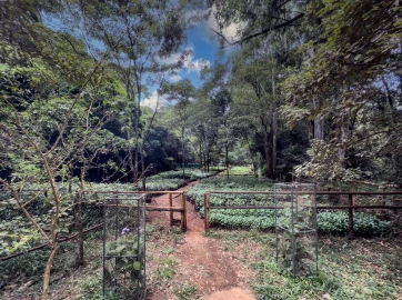 Friends of Karura Forest warns of disruptions as gov't takes over revenue collection Friends of Karura Forest warns of disruptions as gov't takes over revenue collection