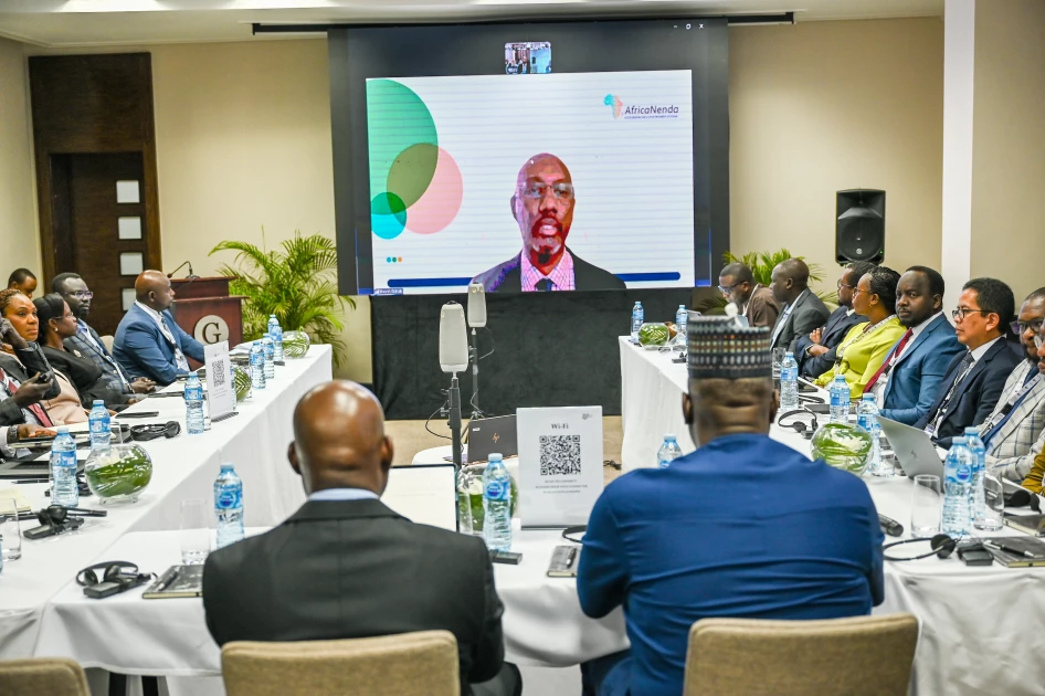OPINION: From the Continent, For the Continent - Building homegrown instant payment systems to drive financial inclusion in Africa