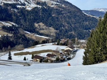Hiker dies after trampled by cows in Austrian Alps Hiker dies after trampled by cows in Austrian Alps