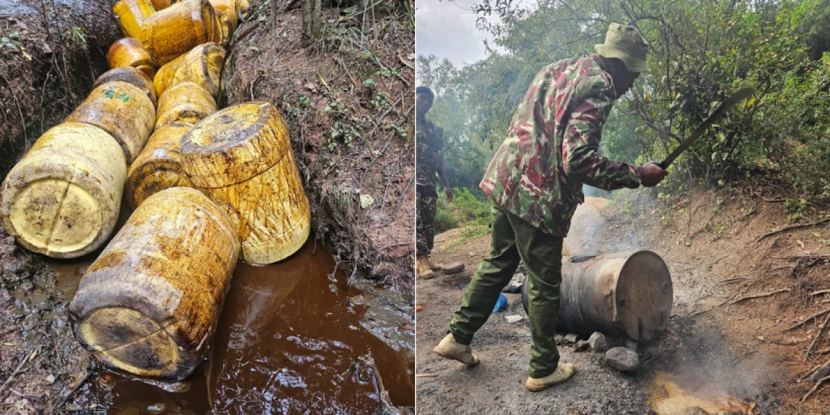 Two suspects arrested as NACADA destroys over 40,000 litres of illicit alcohol in Kisumu Two suspects arrested as NACADA destroys over 40,000 litres of illicit alcohol in Kisumu