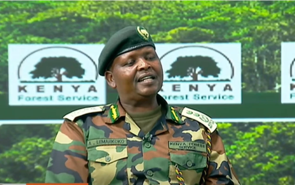 Forest boss accuses Friends of Karura of embezzling funds, explains tarmacked road Forest boss accuses Friends of Karura of embezzling funds, explains tarmacked road