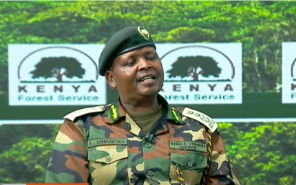 Forest boss accuses Friends of Karura of embezzling funds, explains tarmacked road Forest boss accuses Friends of Karura of embezzling funds, explains tarmacked road