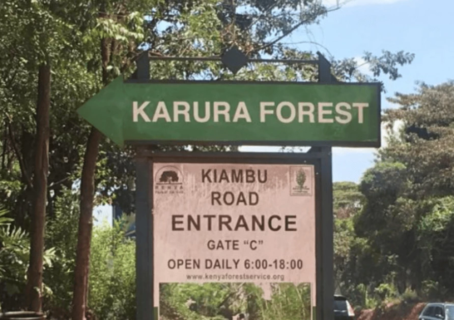 Karura Forest dispute and the generational fight for Nairobi’s lung Karura Forest dispute and the generational fight for Nairobi’s lung