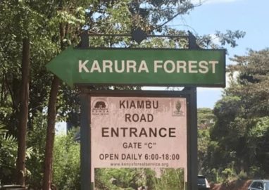 Karura Forest dispute and the generational fight for Nairobiโs lung Karura Forest dispute and the generational fight for Nairobiโs lung