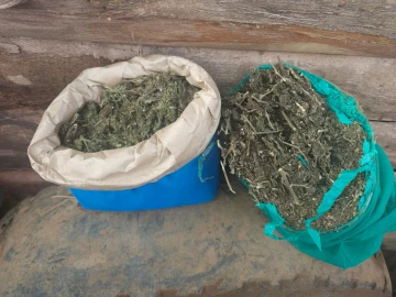 Two suspects arrested as NACADA cracks down on illicit drugs in Kakamega Two suspects arrested as NACADA cracks down on illicit drugs in Kakamega