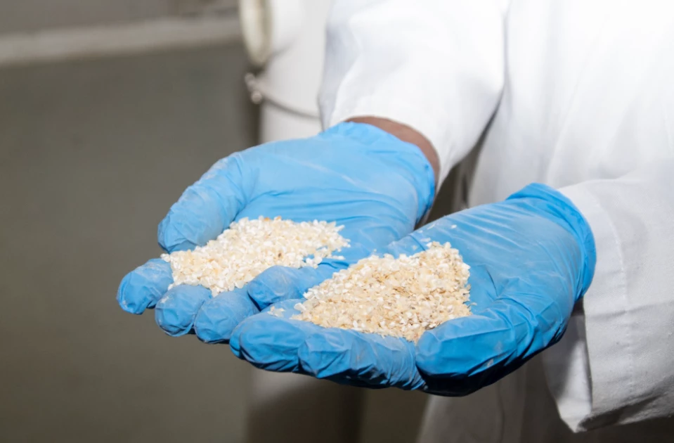Kenya to celebrate top food millers in fortification drive Kenya to celebrate top food millers in fortification drive