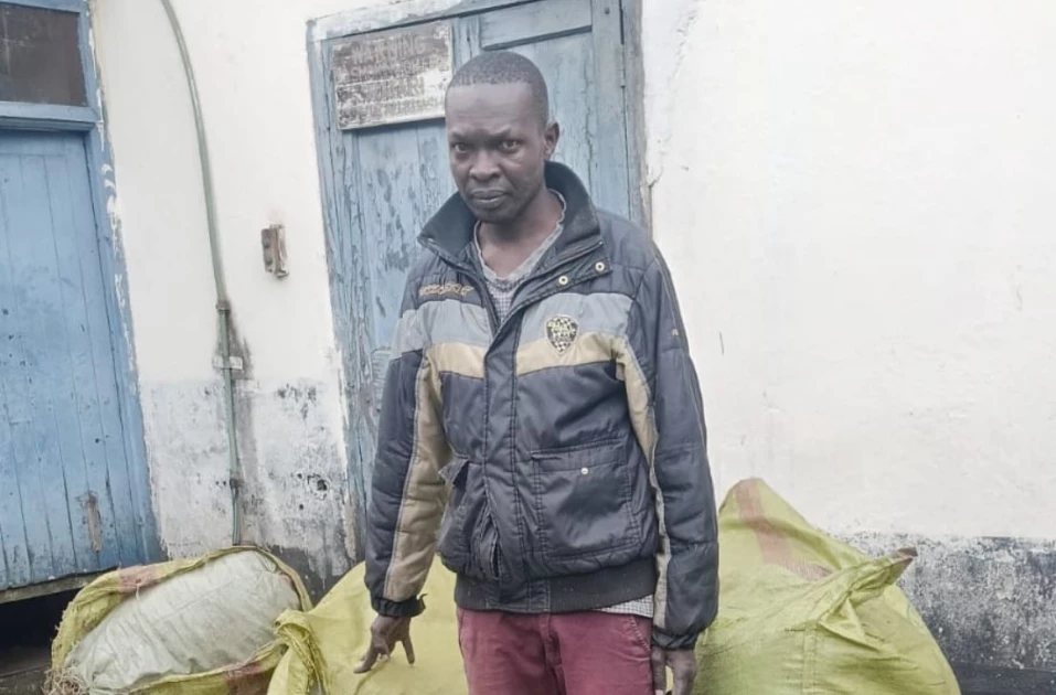 Suspect arrested ferrying bhang worth Ksh.7 million in Bomet
