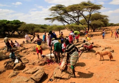 Gov't seeks Ksh.13B to feed 2.1 million Kenyans facing drought Gov't seeks Ksh.13B to feed 2.1 million Kenyans facing drought