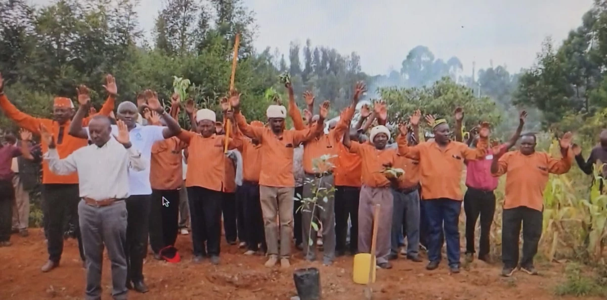 Kikuyu elders break tradition by planting sacred Mugumo tree in Kiambu