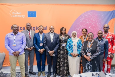 Science and technology crucial for Africa’s green transition; Experts say