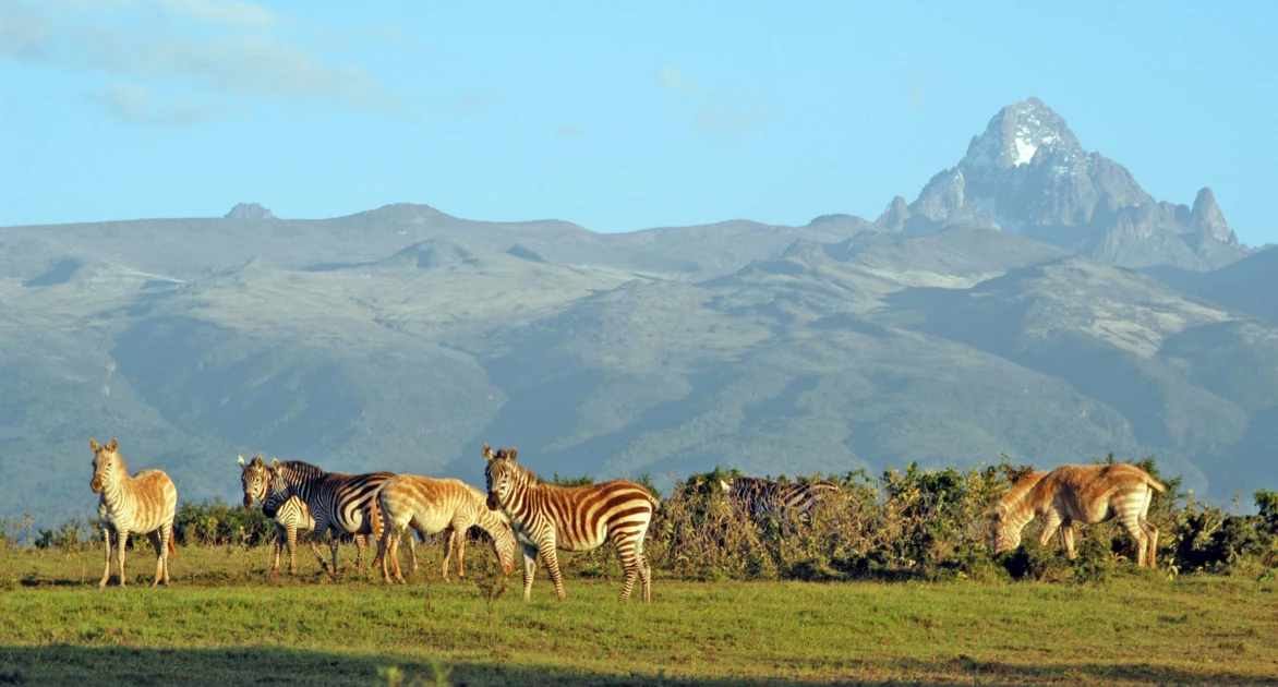 Gov't announces free entry to National Parks on Saturday