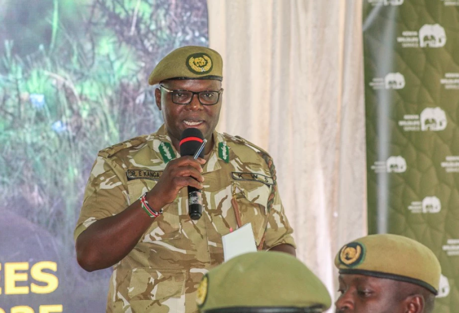 Gov't requires Ksh.1.2B to compensate victims of human-wildlife conflict: KWS