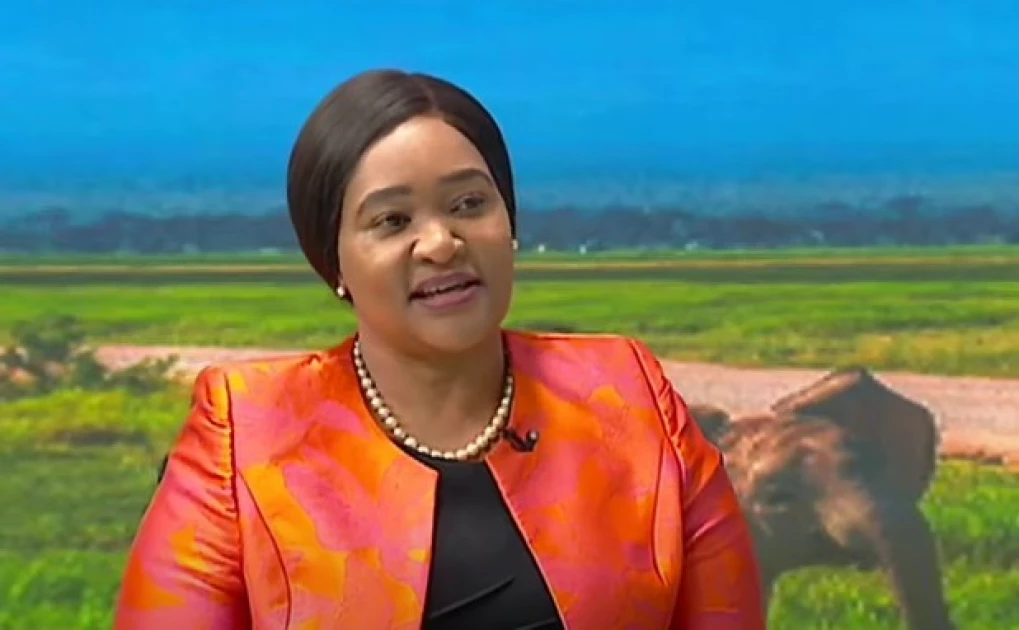 Kenya’s tourism sector hit record Ksh.452 billion earnings in 2024 - CS Miano