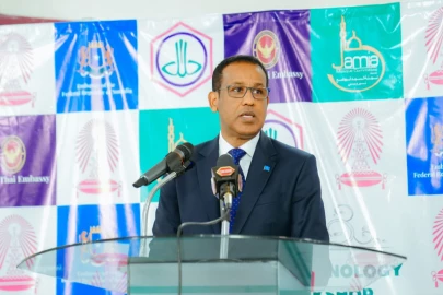 Somali Ambassador to Kenya condemns viral acts of youths 'disrespecting' Kenyan flag