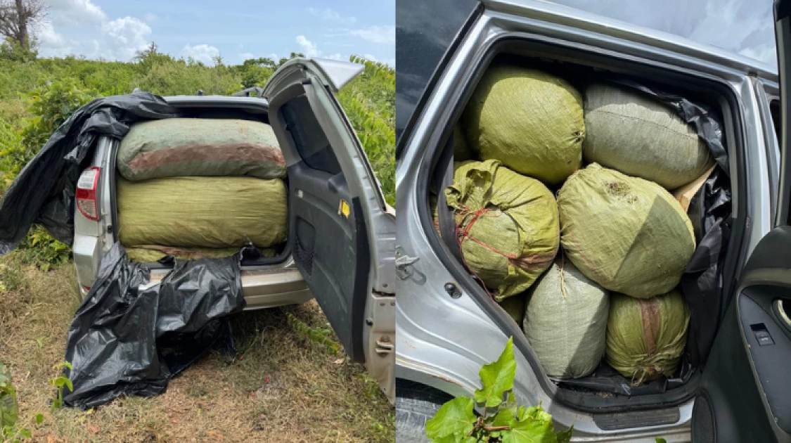 Malindi: Police seize SUV ‘packed to the brim’ with cannabis, driver flees