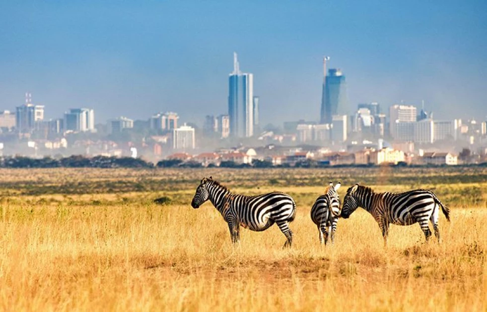 Kenyans flock national parks as gov't waives entry fees on World Tourism Day