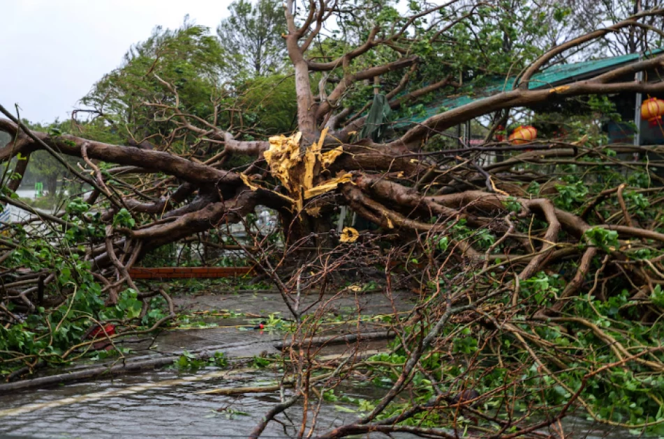 Eight dead and 17 missing as Typhoon Bualoi hits Vietnam