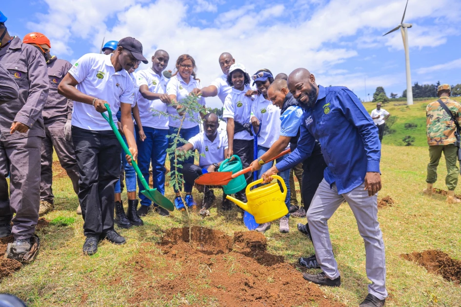 WRC Safari Rally, White Cap, and KFS unite to restore forests on World Environmental Health Day