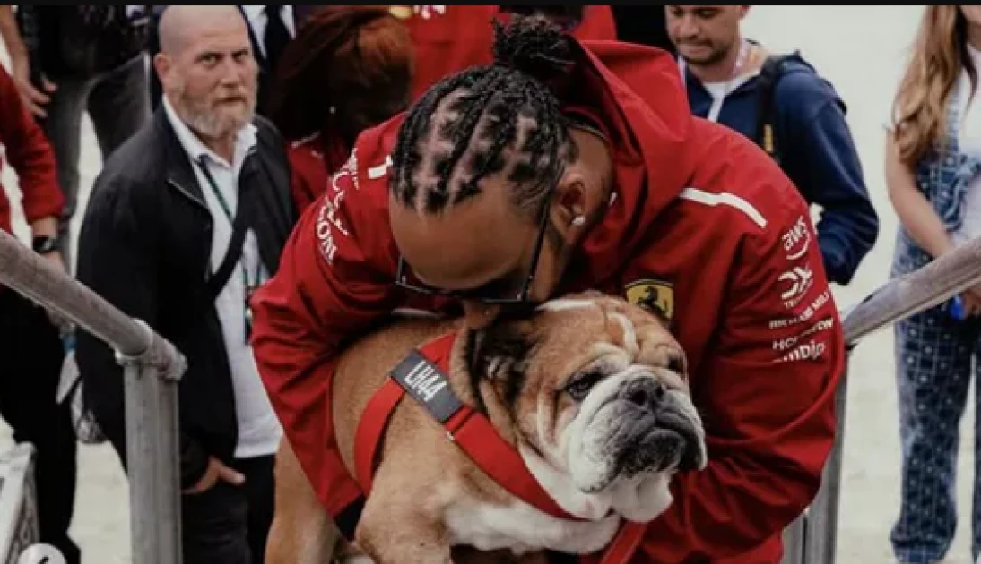 Lewis Hamilton mourns the loss of beloved dog Roscoe