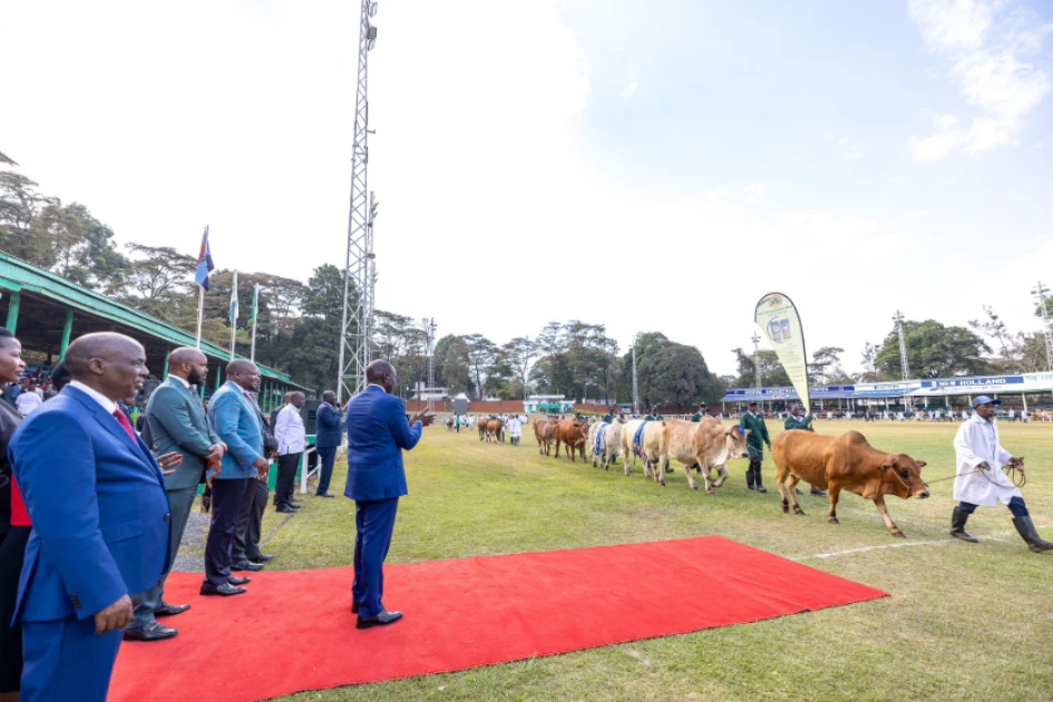 Ruto declares end to raw exports, pushes value addition as key to agricultural prosperity