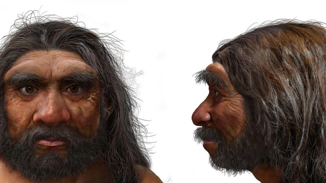 Million-year-old skull could change human evolution timeline