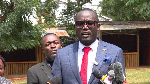 LSK council member raises concern over Faith Adhiambo's appoinment to State panel