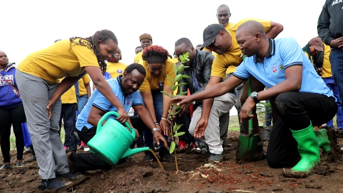 Stakeholders push for accelerated tree planting to combat climate change