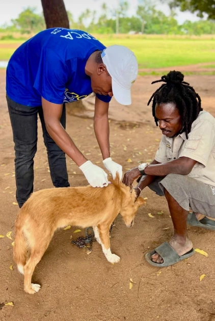 KSPCA opens new branch in Watamu to boost rabies control